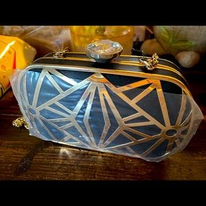 Rare Sasha New York Evening Hand Bag Beautiful NEW